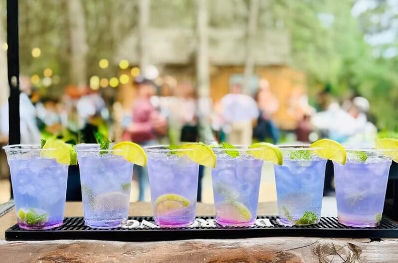 AAA Mobile Bartending showcase 3